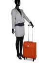 Ensemble 2 valises souples Las Vegas et vanity Cognac