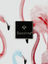 Ensemble 3 valises rigides Flamingos Flamingo