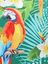 Housse de valise extensible Tropical Parrot S Vert