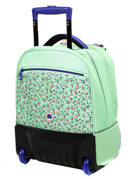Sac à roulettes delsey Clearance