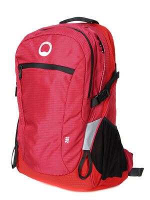 Sac � dos Delsey Nomade M Pivoine