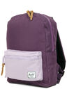 Plum / Mauve