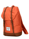 Apricot Brandy/Saddle Brown