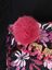 Sac � dos Flowers Noir