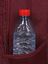 Sac � dos Basics Bordeaux Bordeaux