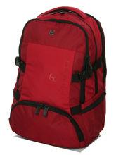 Sac à dos Victorinox VX Sport Evo Deluxe Scarlet Sage/Red