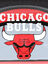Trousse ronde NBA Chicago Bulls Rouge