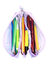 Trousse triangulaire La Reine des Neiges 2 Hope - 3 compartiments Violet