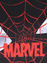 Trousse Spider-Man Miles - 2 compartiments Noir Rouge