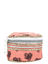 Trousse Pencil Box Lady Dogs Lady Dogs