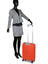 Valise cabine rigide Light 55 cm Papaia Papaia