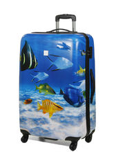 Valise Saxoline Fish Tank 77 cm Fish Tank