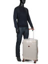 Valise rigide Boxea 66 cm Silver