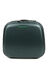 Vanity case rigide Pure Mate Classic 35 cm Vert For�t