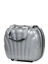 Vanity case rigide Cosmolite 37 cm Silver Silver