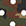 Woodland Camo White Dot