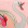 Pearly Swans