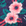 Flower Print