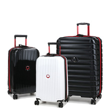 Delsey Alfa Romeo F1