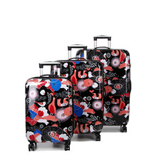 Snowball Flowers & Birds